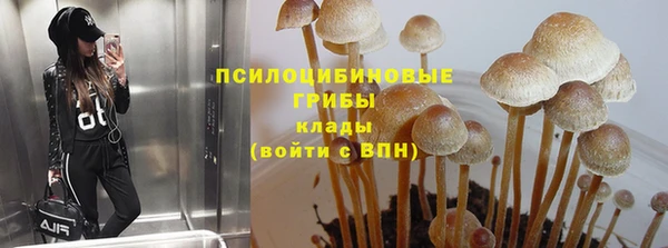 apvp Покровск