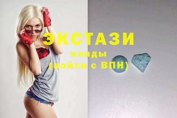 хмурый Болотное
